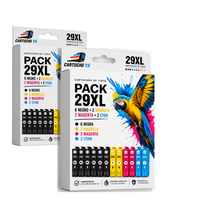 Pack doble 29XL: dos cajas